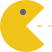 Accipitriformes Birds